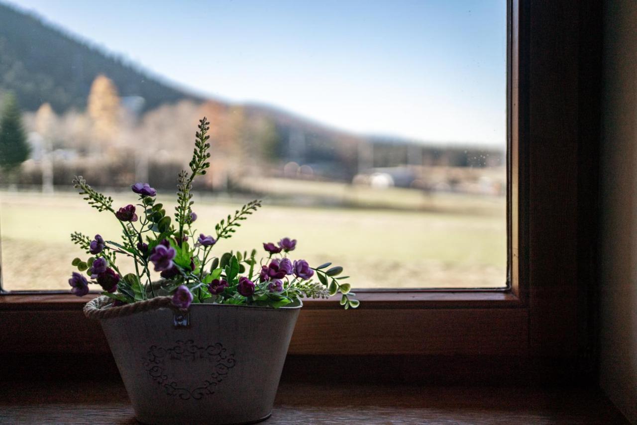 Apartamenty Bogowka 11 Zakopane Eksteriør bilde